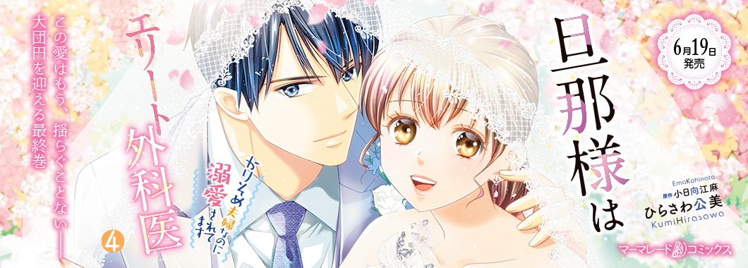 旦那様はエリート外科医～かりそめ夫婦なのに溺愛されてます～4